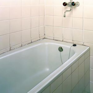 Produktbild für Schimmelentferner HG 186050105, Schimmel Vernichter