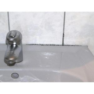 Produktbild für Schimmelentferner Beko 299 9 500, TecLine