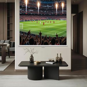Produktbild für Beamer-Leinwand Magnetoplan 202501926