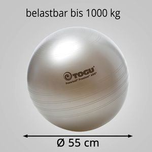 Produktbild für Gymnastikball Togu Powerball Premium ABS
