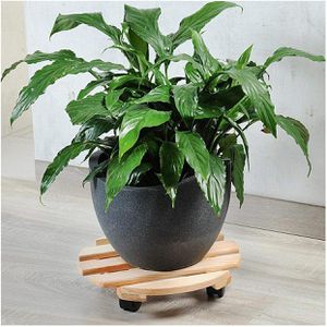 Produktbild für Pflanzenroller Kesper 69104, für innen