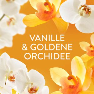 Produktbild für Weichspüler Lenor Goldene Orchidee XXL Größe