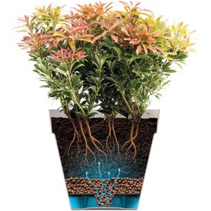 Produktbild für Pflanztopf elho Loft Urban rund Rollen, 24 Liter