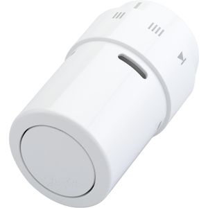 Heizkörperthermostat Danfoss RAX 013G6070