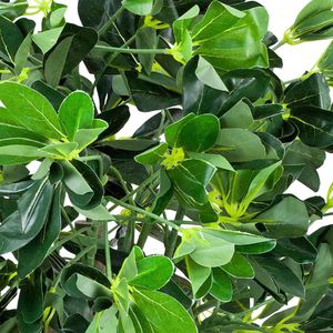Produktbild für Kunstpflanze Decovego Schefflera Arboricola