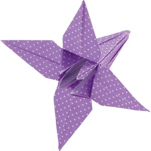 Produktbild für Faltblätter Folia 498/1515 Basics Intensiv