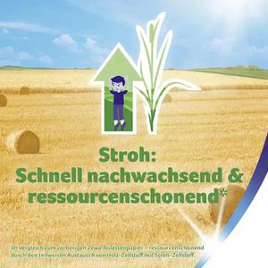 Produktbild für Toilettenpapier Zewa Ultra Senses Mandelblüte