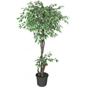Kunstpflanze Decovego Weißer Ficus Benjamin