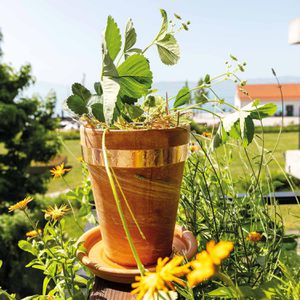 Produktbild für Schneckenzaun bellissa 99227, 5 m, erweiterbar