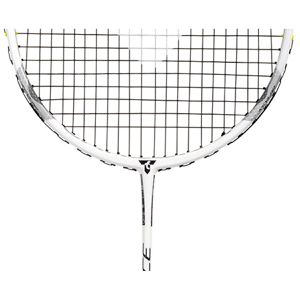 Produktbild für Badmintonschläger Talbot-Torro Isoforce 1011