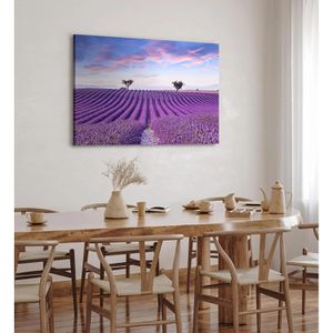 Produktbild für Wandbild Sinus-Art Lavendelfeld