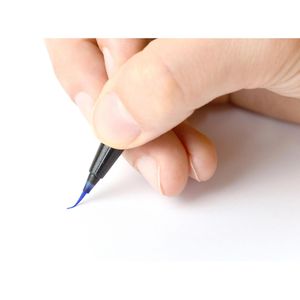 Produktbild für Brush-Pen Pentel SESF30C-AX, Brush Sign Pen Artist