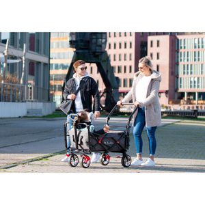 Produktbild für Bollerwagen Pinolino AddPlus, faltbar