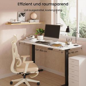 Produktbild für Schreibtisch FlexiSpot E1B Pro, weiß / schwarz