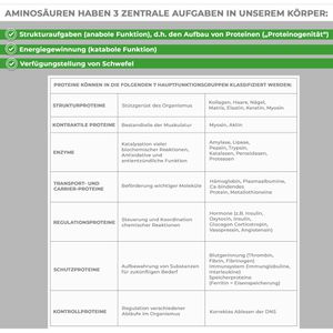 Produktbild für Aminosäuren Qidosha Master Komplex, 360 Presslinge