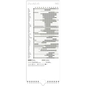 Produktbild für Familienplaner Häfft Planer für Zwei - Blattgold, 2026 / 2027