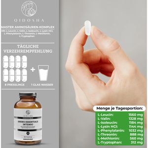 Produktbild für Aminosäuren Qidosha Master Komplex, 360 Presslinge