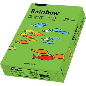 Produktbild für Kopierpapier Papyrus Rainbow 88042660