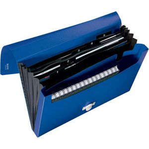 Fächermappe Leitz 4624-00-35 recycle, A4, blau