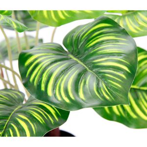 Produktbild für Kunstpflanze I.GE.A. Amaranthuspflanze