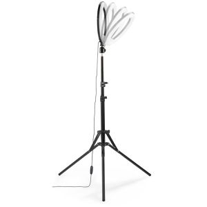Produktbild für Ringlicht Hama SpotLight Steady 120 III, 160 LEDs