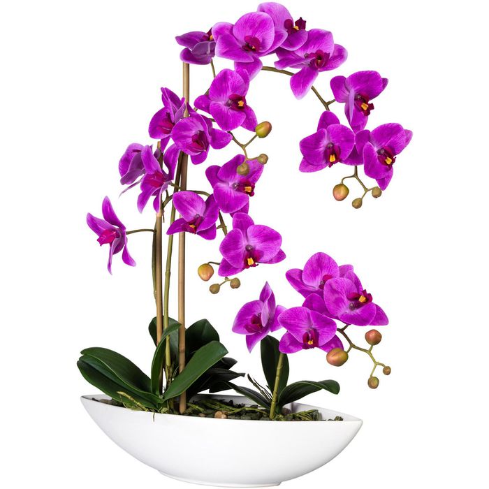 Creativ-green Kunstblume Orchidee, Phalaenopsis, lila, in Keramik-Schale, Höhe  60 cm – Böttcher AG