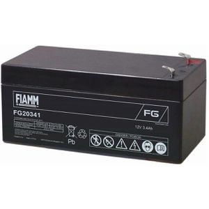 AGM-Batterie FIAMM FG20341