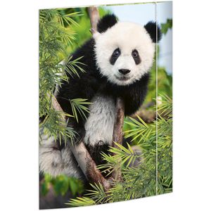 Zeichenmappe RNK 45376, Panda, A3