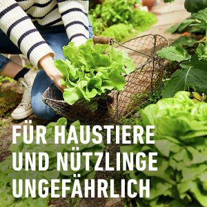 Produktbild für Schneckenkorn Compo 2336702004, regenfest