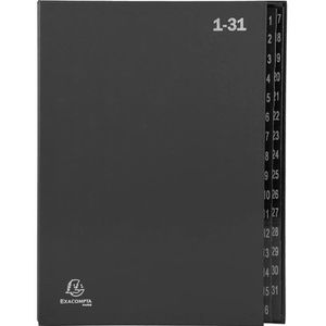 Pultordner Exacompta 57032E, Ordonator, A4, 1-31