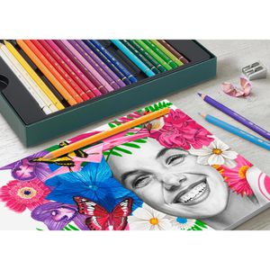Produktbild für Buntstifte Faber-Castell Polychromos &amp; Pitt Graphite Matt