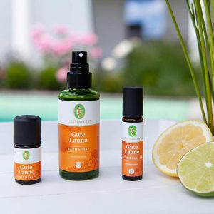 Produktbild für Raumduft Primavera 19500 Raumspray Bio