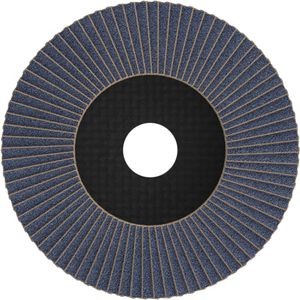 Produktbild für Fächerschleifscheibe Bosch PRO X571