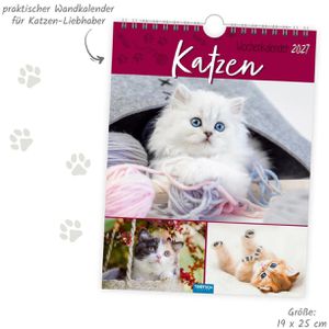 Produktbild für Bildkalender Trötsch 2027705, Katzen, Jahr 2027