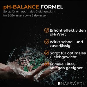 Produktbild für PH-Plus NASSWERK 100 % Natriumcarbonat, Granulat
