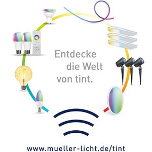 Produktbild für LED-Lampe tint Globe, E27