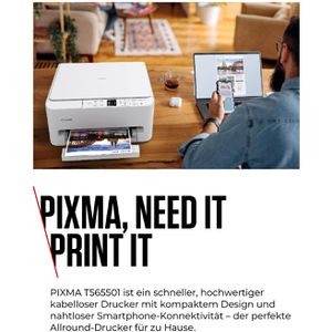 Produktbild für Multifunktionsgerät Canon PIXMA TS6550i