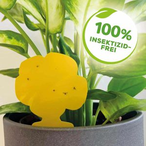 Produktbild für Gelbtafeln Solabiol Gelbsticker, 8 x 14 cm, zum Stecken