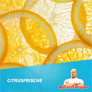 Produktbild für Allzweckreiniger Meister-Proper Citrusfrische