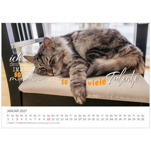 Produktbild für Bildkalender Edition-Seidel 31059, Coole Katzen, Jahr 2027