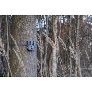 Produktbild für Wildkamera Spypoint Force-Pro