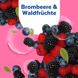 Produktbild für Seife Sagrotan No-Touch Brombeere &amp; Waldfrüchte
