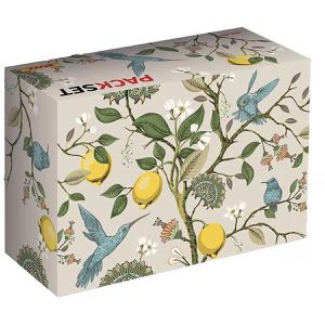 Faltkartons DeutschePost PACKSET Koolibris, Gr. S