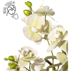 Creativ-green Kunstblume Orchidee, cm – im Böttcher Arrangement grün, 50 AG Phalaenopsis, Keramik-Topf, Höhe