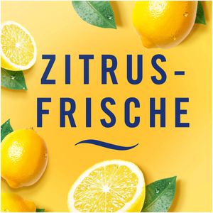 Produktbild für Raumduft Febreze Mülleimer-Erfrischer, Starterset