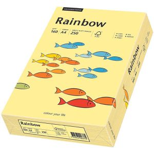 Produktbild für Kopierpapier Papyrus Rainbow 88042305