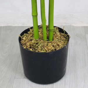 Produktbild für Kunstpflanze Decovego Bambus KF-JWT2514