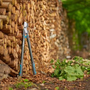 Produktbild für Astschere Gardena EnergyCut Pro L, 12051-88