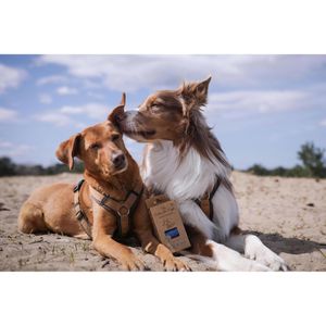 Produktbild für Hundekotbeutel TSP 6060euBE, Recycling