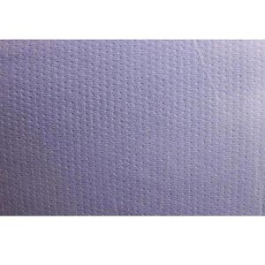 Produktbild für Putztuchrolle Papernet 416620, aus Recyclingpapier, blau